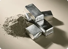 Essential Zinc mineral supplement for immune support and cellular repair within the NewEra Protect formula.