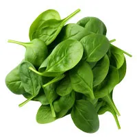 GABA ingredient